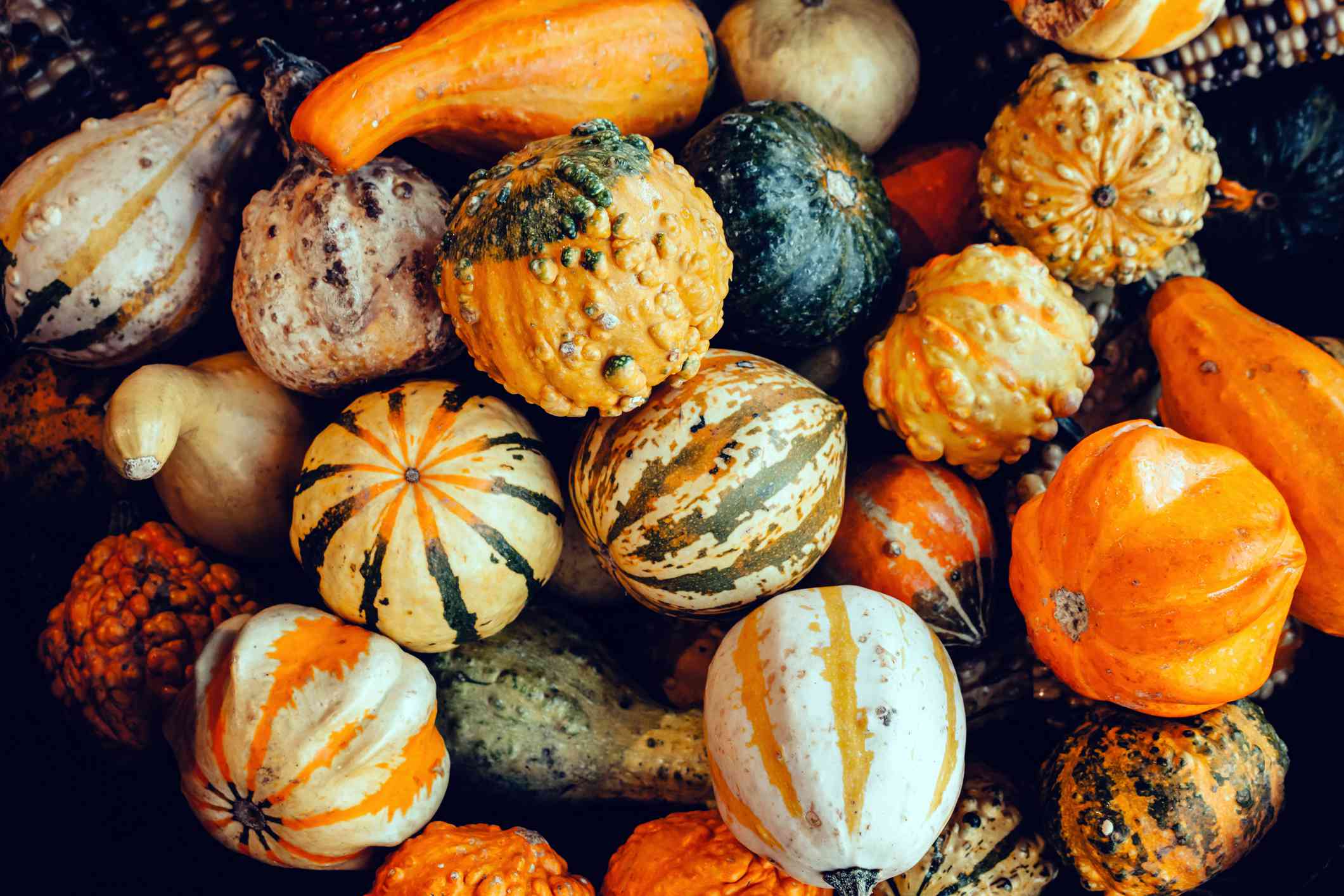 What Makes Winter Squash a Superfood? Key Vitamins, Defined